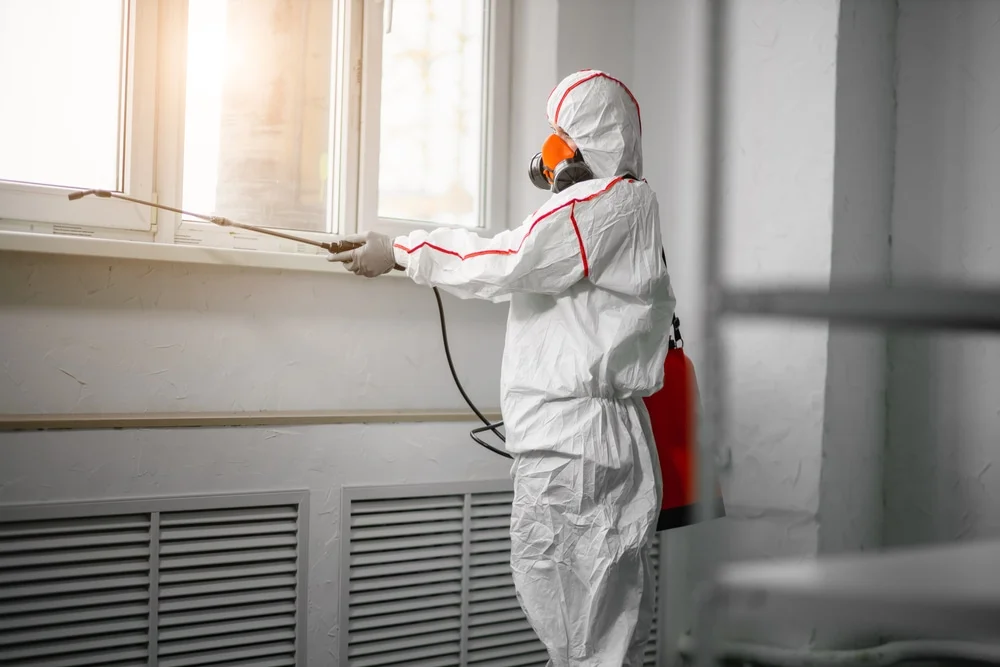 Professional mold remediation services in Oconto, WI